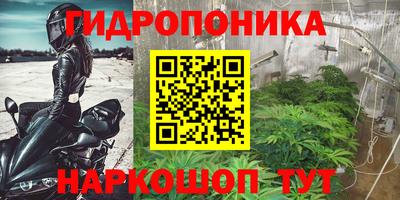 соль ск Славгород