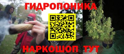 спайс Сланцы