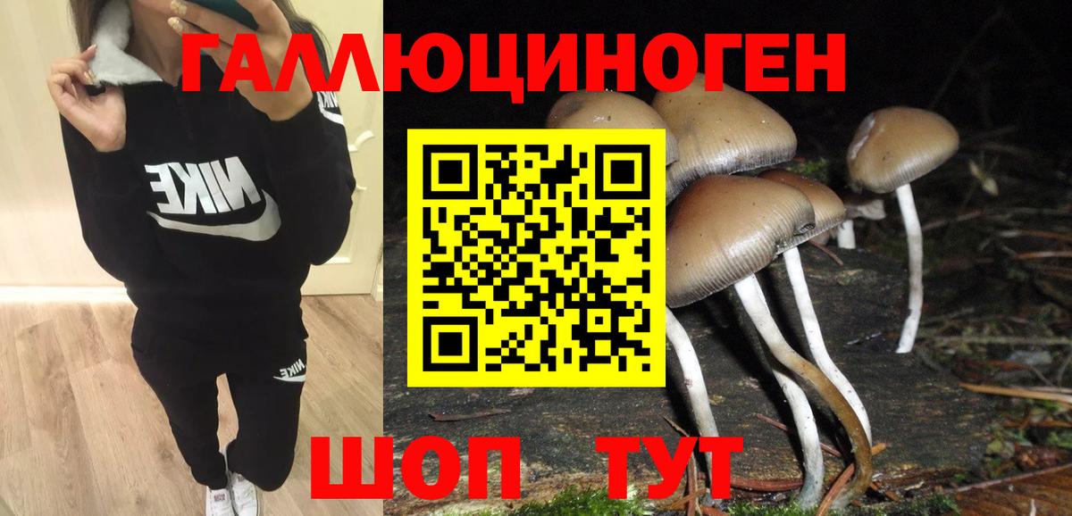 Галлюциногенные грибы мицелий  Вход с VPN  Ноябрьск  Галлюциногенные грибы Cubensis 